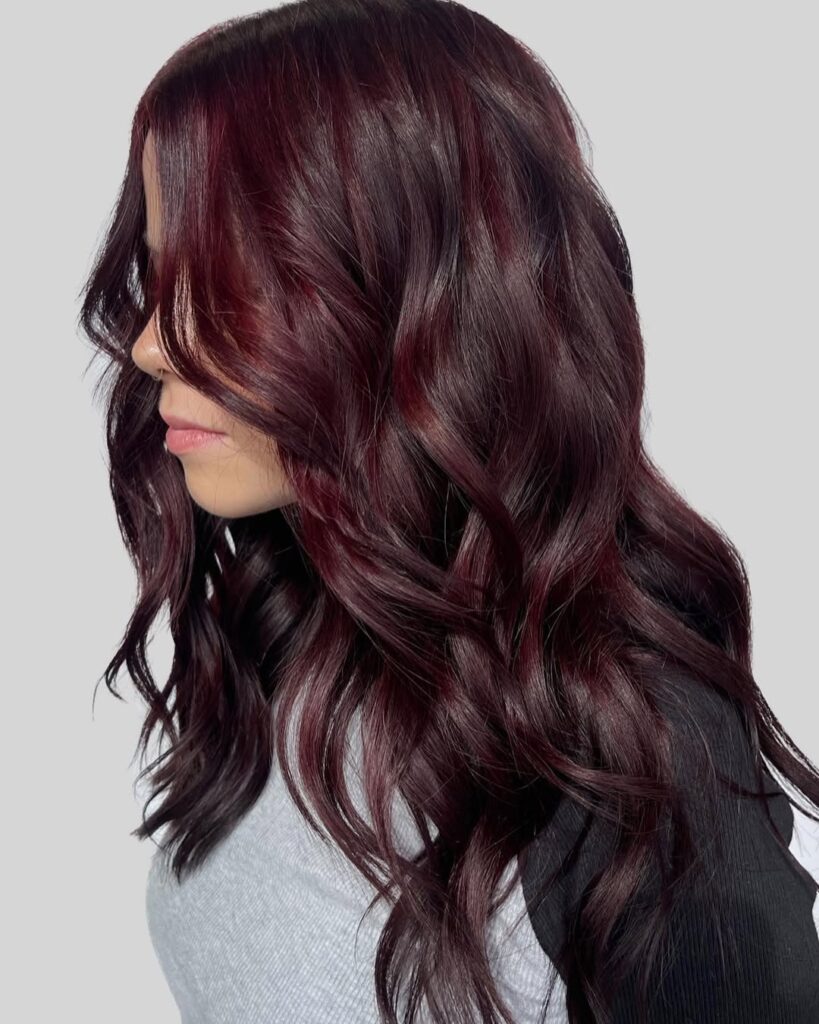 15 Hair Color Ideas for Brown Skin That Instantly Elevate Your Style (Trust Me, These Are Gorgeous) 11 Black Cherry Hair 2