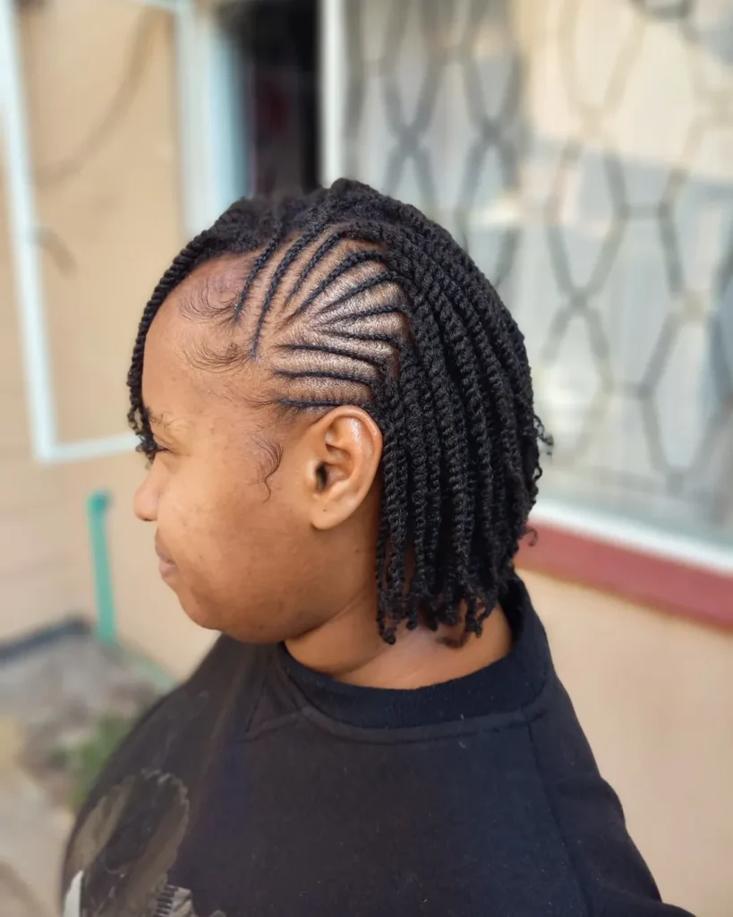 16 Protective Hairstyles for Natural Hair That Will Elevate Your Look – Effortlessly Chic! 3 Twist-Outs for Days