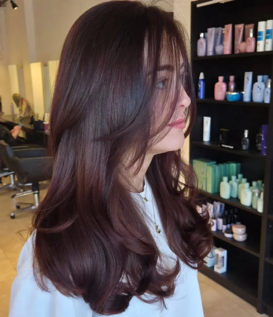 Classic Chocolate Cherry Brunette