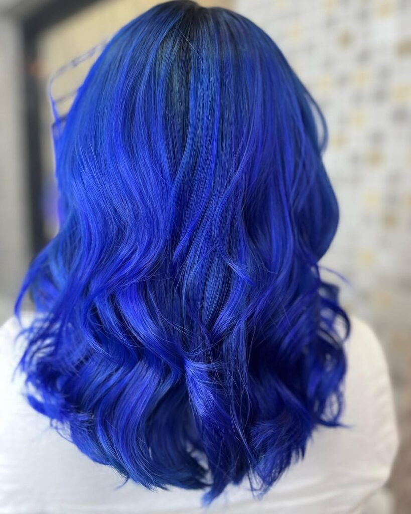 Royal Blue Regal