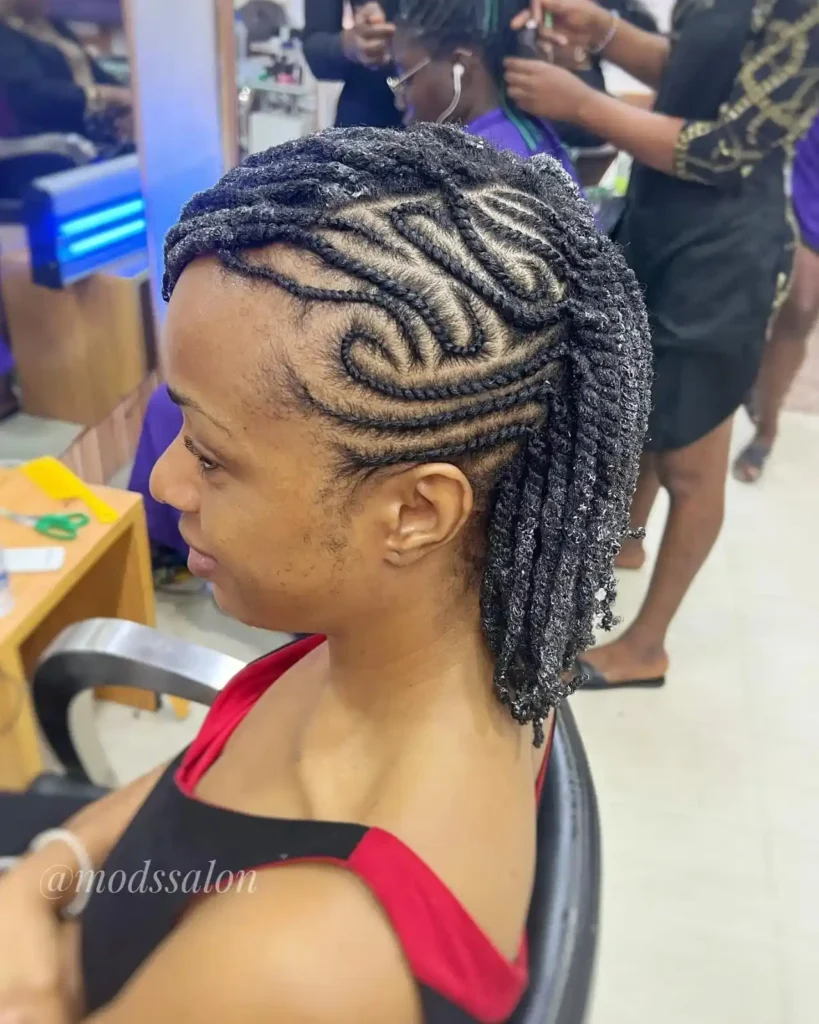 Flat Twist Hairstyles Ideas