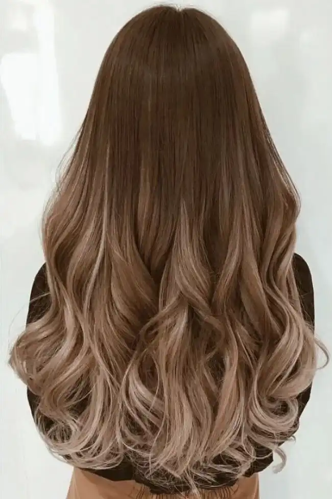 16 Blonde and Brown Hair Color Ideas That Look Expensive Without Trying Too Hard 9 Brown Hair with Champagne Blonde Ends