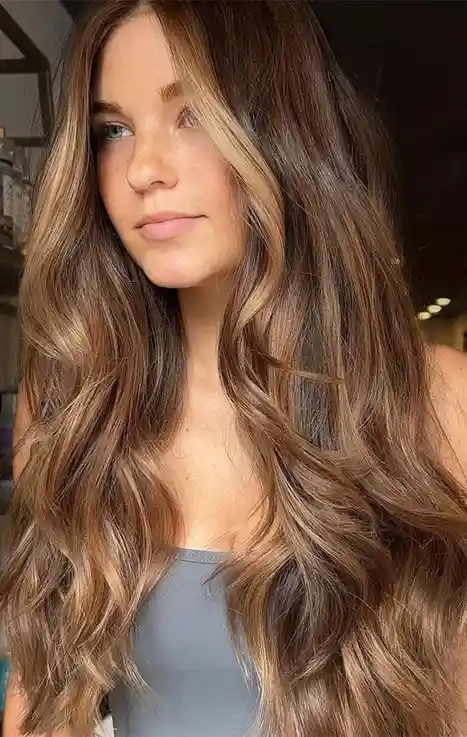 16 Blonde and Brown Hair Color Ideas That Look Expensive Without Trying Too Hard 16 Chestnut Brown with Golden Blonde Pieces