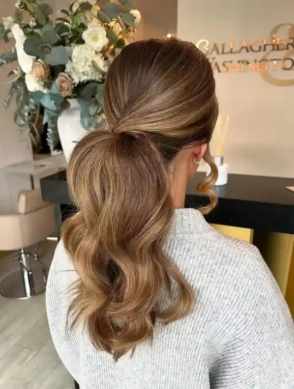 The Classic Low Ponytail