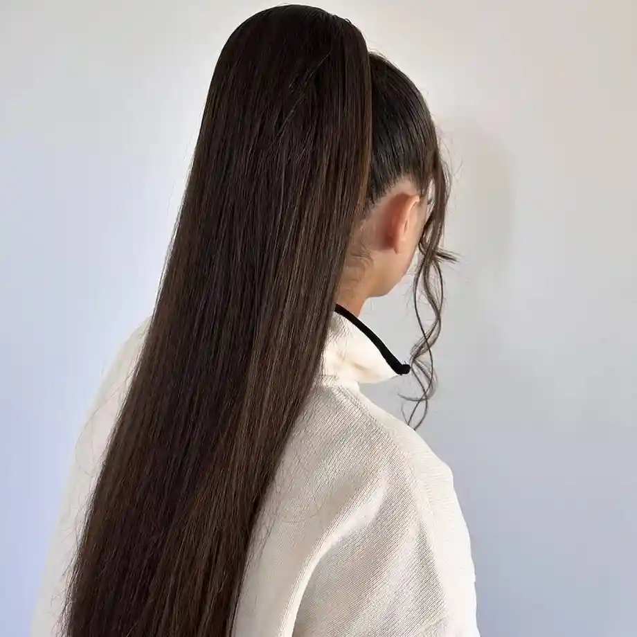 The High Ponytail