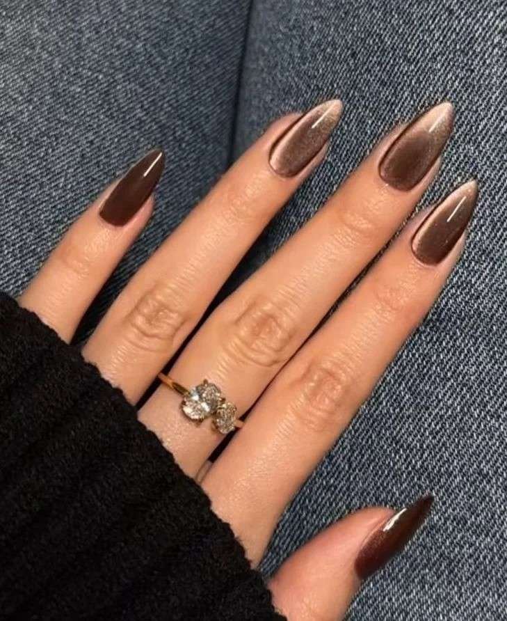 15 Brown Fall Nails Ideas That Create The Perfect Cozy Autumn Manicure 13 Brown Velvet Magnetic Nails