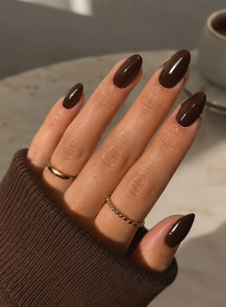 Chocolate Brown Glossy Nails