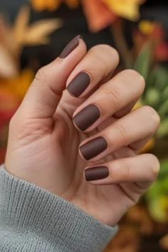 Short Matte Brown Nails