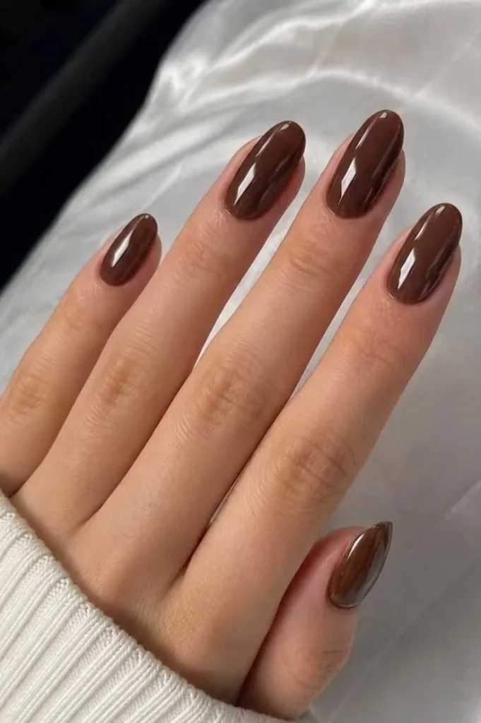 Single Shade Chocolate Brown Nails