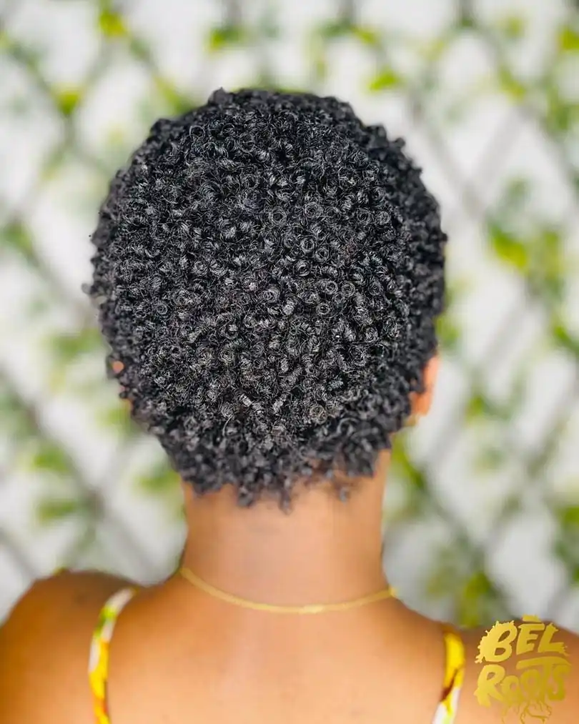 14 Short Black Hair Looks That Are Breaking the Internet 6 The Classic TWA (Teeny Weeny Afro)